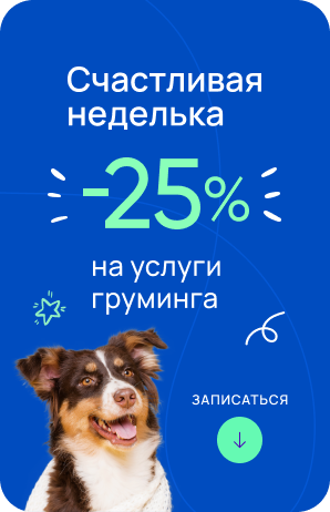 Скидка -25% на груминг