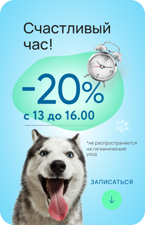 Скидка с 13 до 16:00