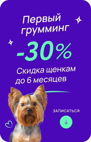 Первый груминг -30%
